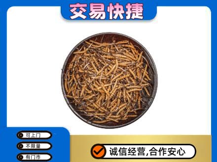 石家庄市鹿泉回收散虫草